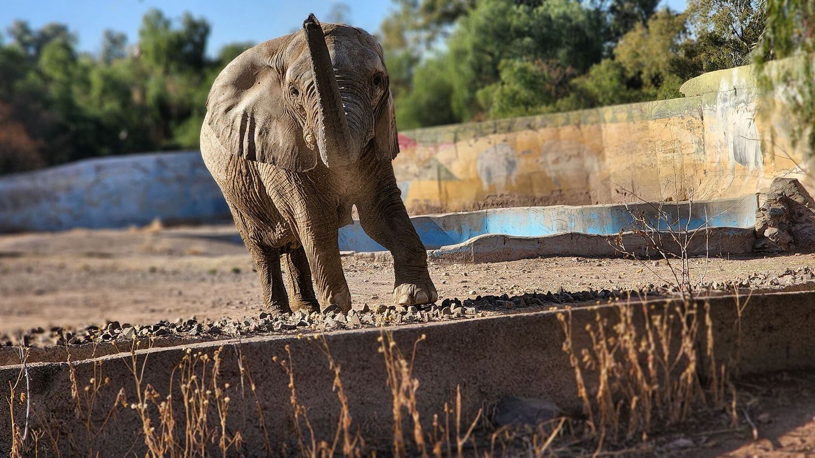 Ecoparque Mendoza: entre promesas incumplidas y controversias